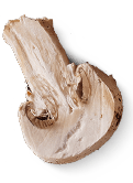 Mushroom-left
